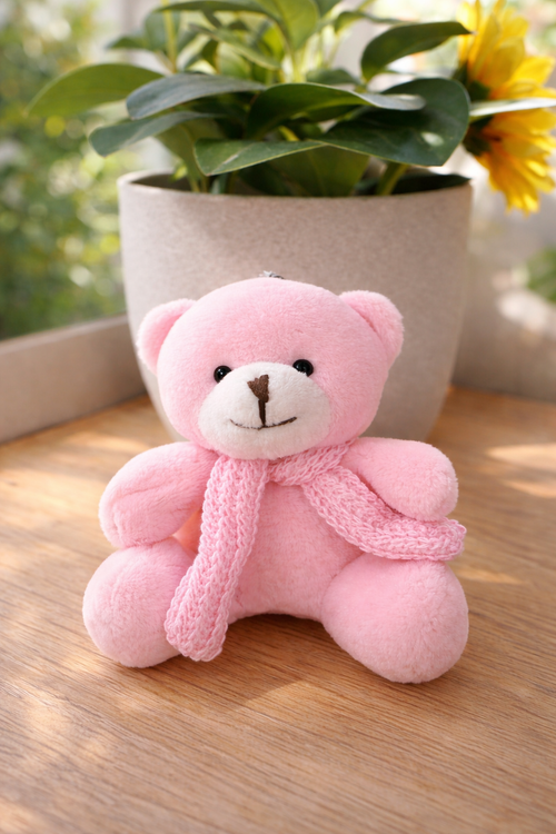 OSITO EDICIÓN ESPECIAL 💘